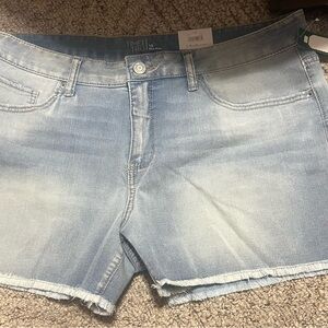 Time and Tru Women's Light Blue Denim Shorts